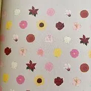 みぃの画像