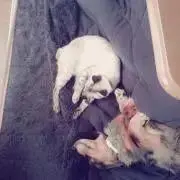 ykmama★