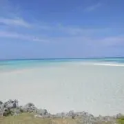 GTの画像