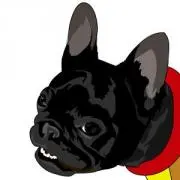 プロフ必読！まいんの画像