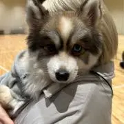 bechanの画像