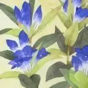 たいちの画像