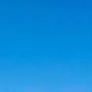 ソラマメ