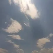 マロンの画像