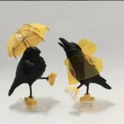 カッパガラスの画像