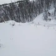 hopeの画像