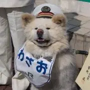 funniの画像