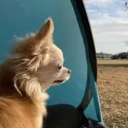 Soraumiの画像