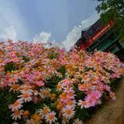 雨音ꕤ*。゜の画像