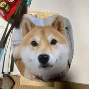 髙橋一郎の画像