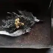 THの画像
