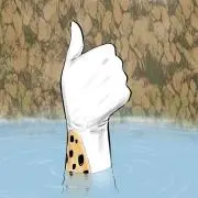 NR