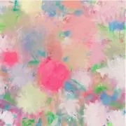 きこの画像