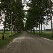 vivakamakuraの画像