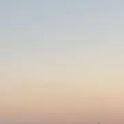 あの画像