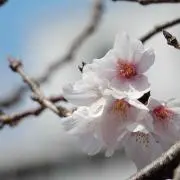 ゆきな プロフィール必須