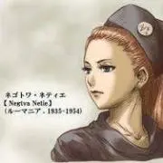 SRIの画像