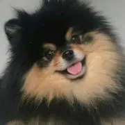 RUKO