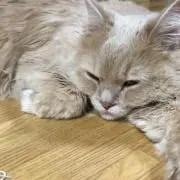 【状態 良い】 英語 参考書17冊　まとめ売り 状態 かなり良い】 英語 参考書17冊 まとめ売り - メルカリ