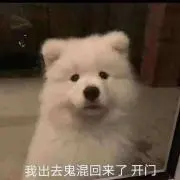 Hyggeの画像
