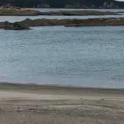ともの画像