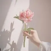 sanlalaの画像