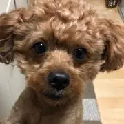 りき