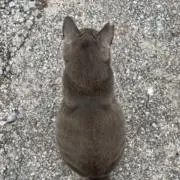 MAKIの画像