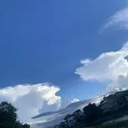 りんの画像