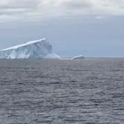Tの画像