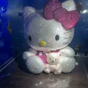 にゃんの画像