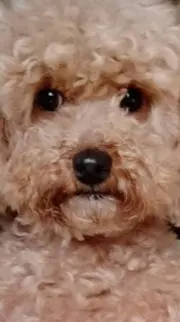 あっちゃん
