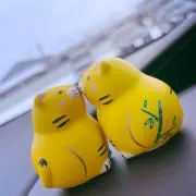choco⚠️プロフ必読の画像
