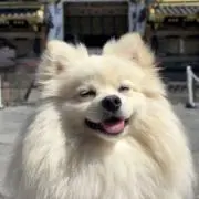 筒井