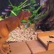 そらろそろ