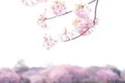 akの画像