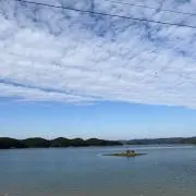 さささの画像