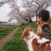 komatiの画像