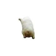 ｍの画像