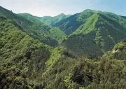 akinの画像