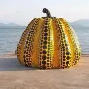 Mollyの画像