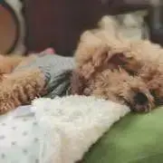 Kの画像