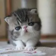 mmmの画像