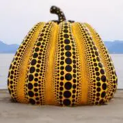 H.Yの画像
