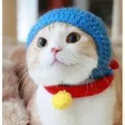 ちゃな子の画像