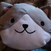 すぴん
