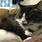 ⭐︎ひろーん⭐︎の画像
