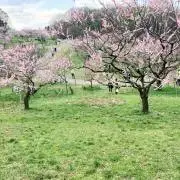 ドラえもんの画像