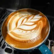 のんたん