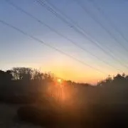 きのこの画像
